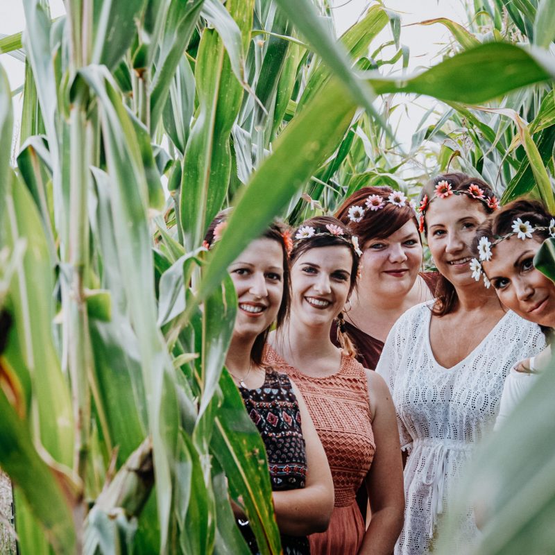 5 lachende Freundinnen im Maisfeld in Oberhavel